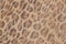 Genuine leather texture background close-up, embossed under the skin a beautiful pattern of leopard, Natural shades