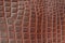 Genuine leather texture backgroundr close-up, embossed under the skin a reptile, brown color print. Natural backdrop