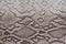 Genuine leather texture with imitation of exotic reptile with with an interesting pattern, trendy background, beautiful