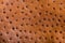 Genuine ostrich leather light brown color, texture, background