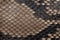 Genuine snakeskin. Leather texture background. Closeup photo.