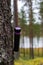 Geocache tied to a tree in Finnish forest