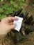 Geocaching activity treasure hunt game