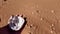 Geodes in Empty quarter desert Oman