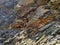 Geodesy. Stone texture. The rock is brown and red. Mineral background. Design from natural materials.