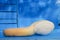 Geoduck in restaurant aquarium, expensive and popular shellfish seafood among ethnic Chinese