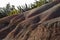 Geologic details from an ocean cliff in Praia da Luz, Lagos, Algarve.