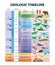 Geologic timeline scale vector illustration. Labeled earth history scheme.