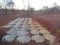 Geological drill hole samples in australian outback for mining