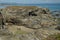 Geological Formations On The Shore Of The Beach Of The Cathedrals In Ribadeo. August 1, 2015. Geology, Landscapes, Travel,