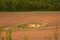 Geological funnel on a plowed field