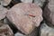 Geological Hammer on raw red limestone in the natural background. Pointed-Tip Rock Picks