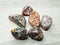 Geological set jasper minerals semigem stones