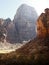 Geological textures and flora in late autumn in Zion Canyon
