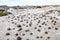 Geological Unusual rock formations, Valle de la Luna bocce court Ischigualasto national park, paleontological