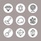 Geology Icons Set for Science, School, University