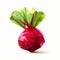 Geometric Beet: Low Poly Style Illustration On White Background