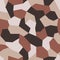 Geometric camouflage vector. Military camo seamless pattern. New soldier`s uniform. Background in sand and brown