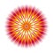Geometric colorful mandala star. Circular elegant ornament. Vector drawing.