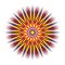 Geometric colorful mandala star. Geometric colorful mandala star. Spiritual symbol. Circular elegant ornament. Vector picture.