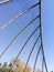 Geometric design element fence and blue sky