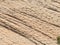 Geometric erosion patterns on sandstone; scene from around the Red Cliffs National Conservation Area on the Yellow Knolls hiking t