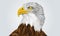 Geometric Illustration of an eagle head â€“