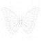 Geometric linear butterfly, constellation