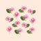 Geometric square arrangement natural pink flowers Hydrangea. Minimal summer greeting card, floral minimal flat lay
