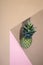 Geometric still life with pineapple on a colored background