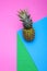 Geometric still life with pineapple on a colored background