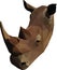 Geometrical illustration of  brown Rhino