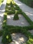 Geometrically planted box hedge in the courtyard garden of the Würzburg Residence
