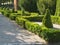 Geometrically planted Buxus box hedge