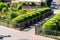 Geometrically trimmed round bushes in landscape design