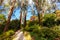 George Tindale Memorial Gardens in Australia