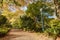 George Tindale Memorial Gardens in Australia