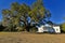 The George Washington Oak At Beautiful Hampton Plantation