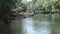 Georgia, Abbotts Bridge Park, Zoom out from dead trees along the shore of the Chattahoochee River