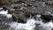 Georgia, Amicalola Falls, A close view of the rocks and water in the Amicalola Creek