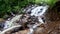 Georgia Amicalola Falls Spring  A side view of water flowing in Amicacola Falls over the rocks