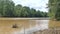 Georgia, Belton Bridge Park, A pan across the downstream view of the Chattahoochee River