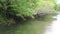 Georgia, Buford Dam Park, A dead tree hanging over and into the Chattahoochee River