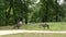 Georgia, Buford Dam Park, A gaggle of Canada geese with a gosling eating flower buds