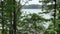 Georgia, Buford Dam Park, A wide view of Lake Lanier through the trees with cars going by