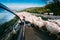 Georgia, Caucasus. View From The Car Window Of Flock Of Shaggy White Sheep Moving Along The Highway In The Countryside