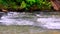 Georgia Chastatee River  A pan left to right across the rapids on the Chestatee River