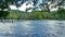 Georgia Chattahoochee River Summer  A view of the Chattahoochee River at water level