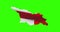 Georgia country shape outline on green screen with national flag waving animation