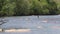 Georgia, Jones Bridge Park, A fisherman fishing in the middle of the Chattahoochee River